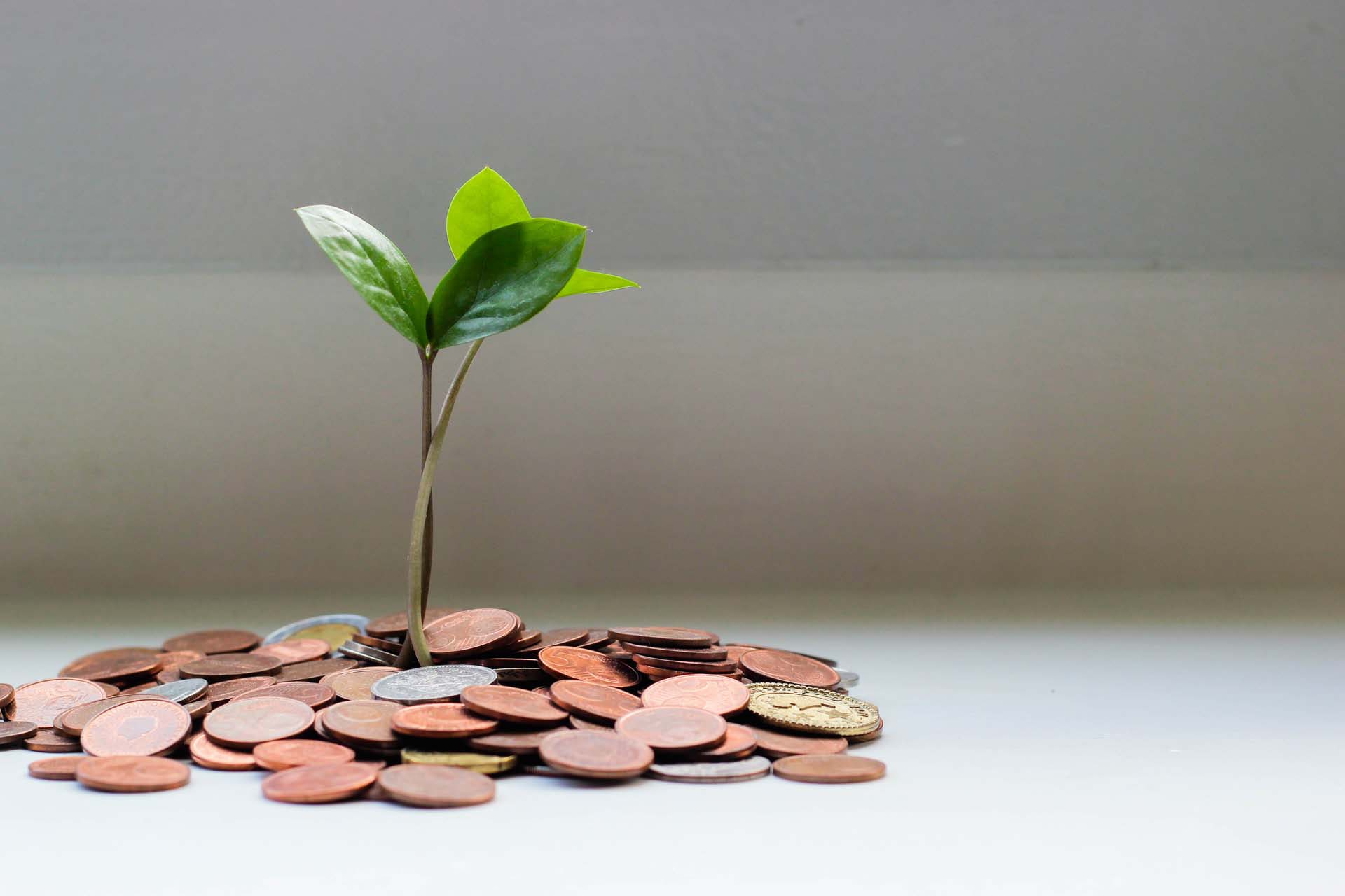 How to play Fundamentals of Finance simulation